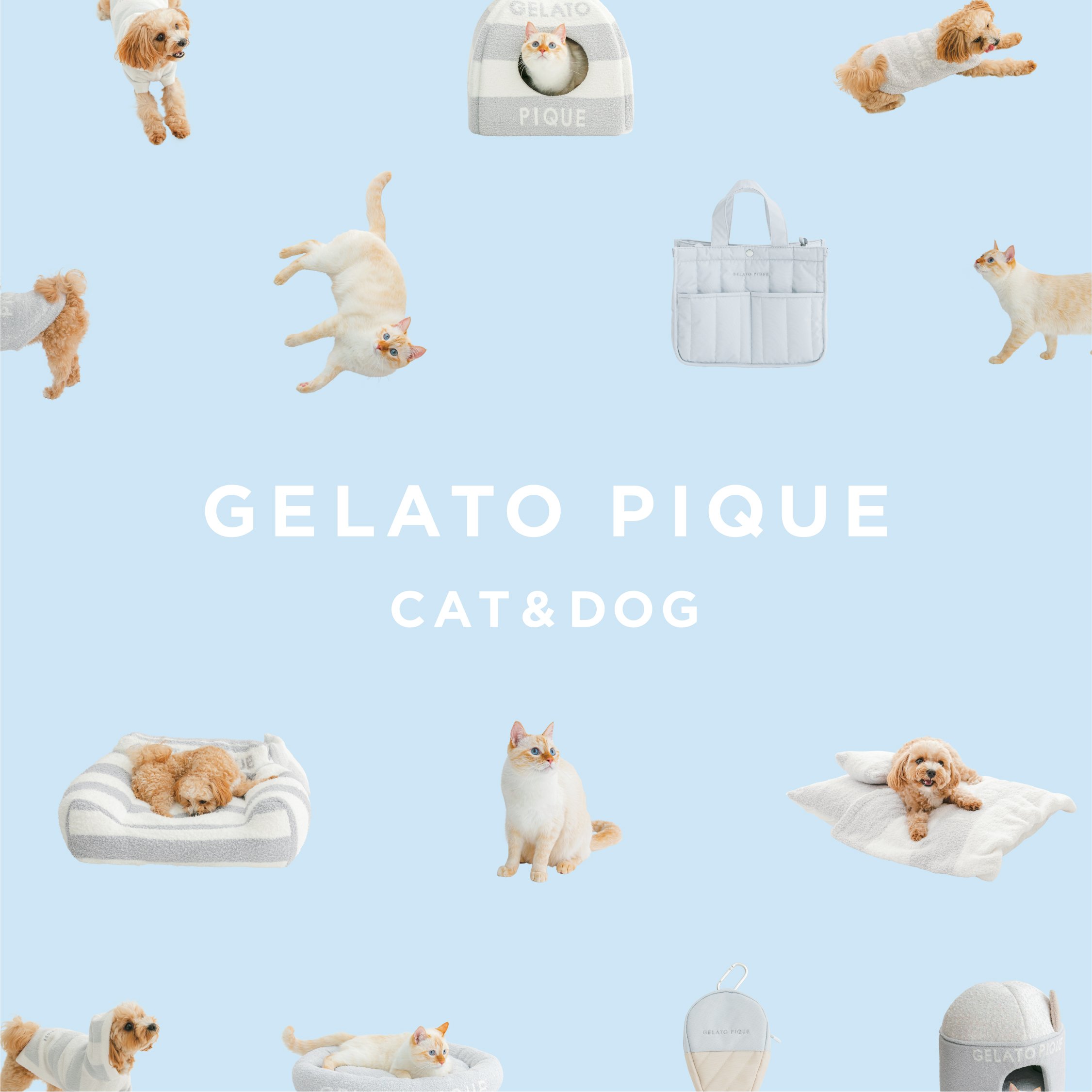 GELATO PIQUE CAT&DOG 8.10 [WED] 12:00 DEBUT