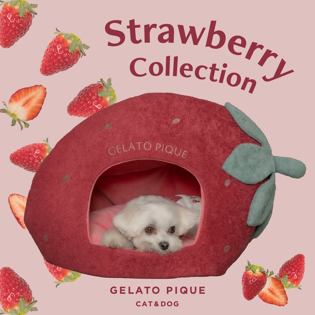 Strawberry Collection GELATO PIQUE CAT&DOG