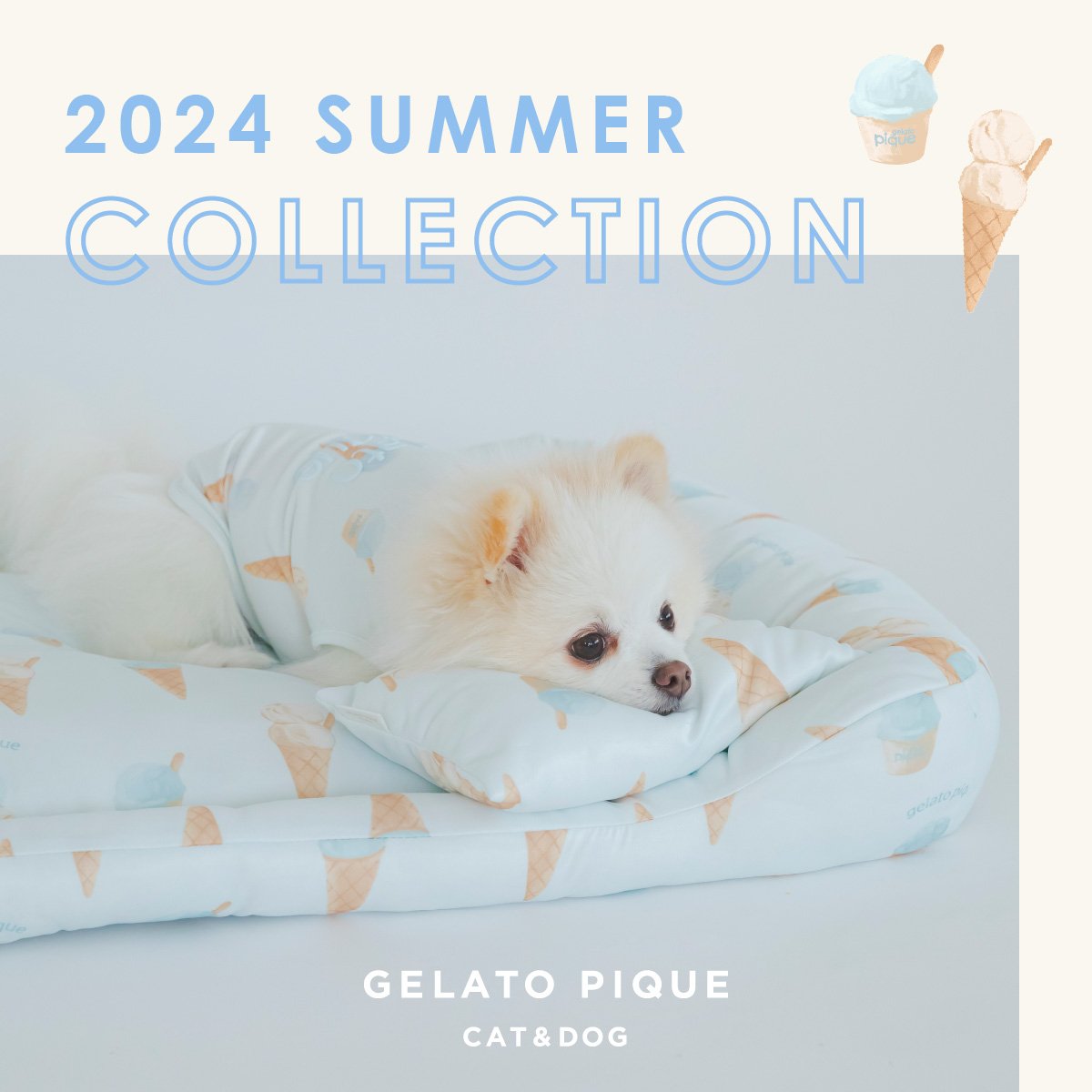 C&D LOOK 2024 SUMMER COLLECTION