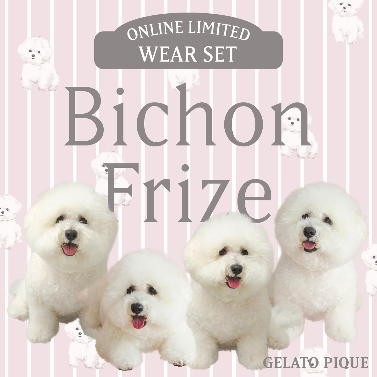 ONLINE LIMITED WEAR SET Bishon Frize