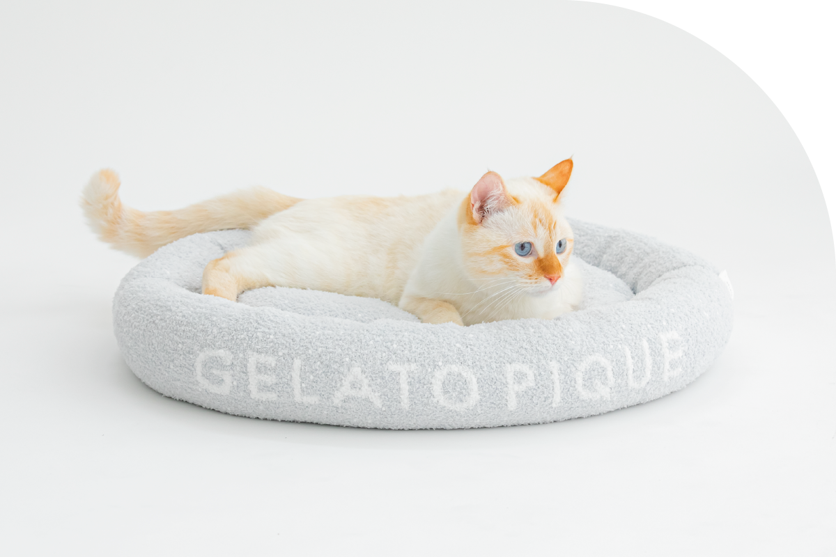 GELATO PIQUE CAT＆DOG DEBUT COLLECTION │ gelato pique (ジェラート 