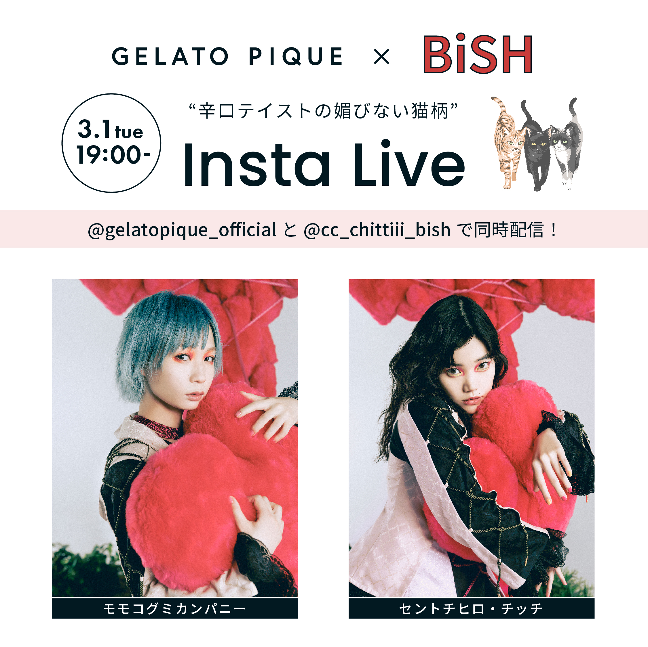 Insta Live 3/1 (TUE) 19:00〜【GELATO PIQUE × BiSH】